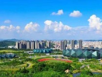 创新驱动未来，龙岗区设立10亿元人工智能产业基金